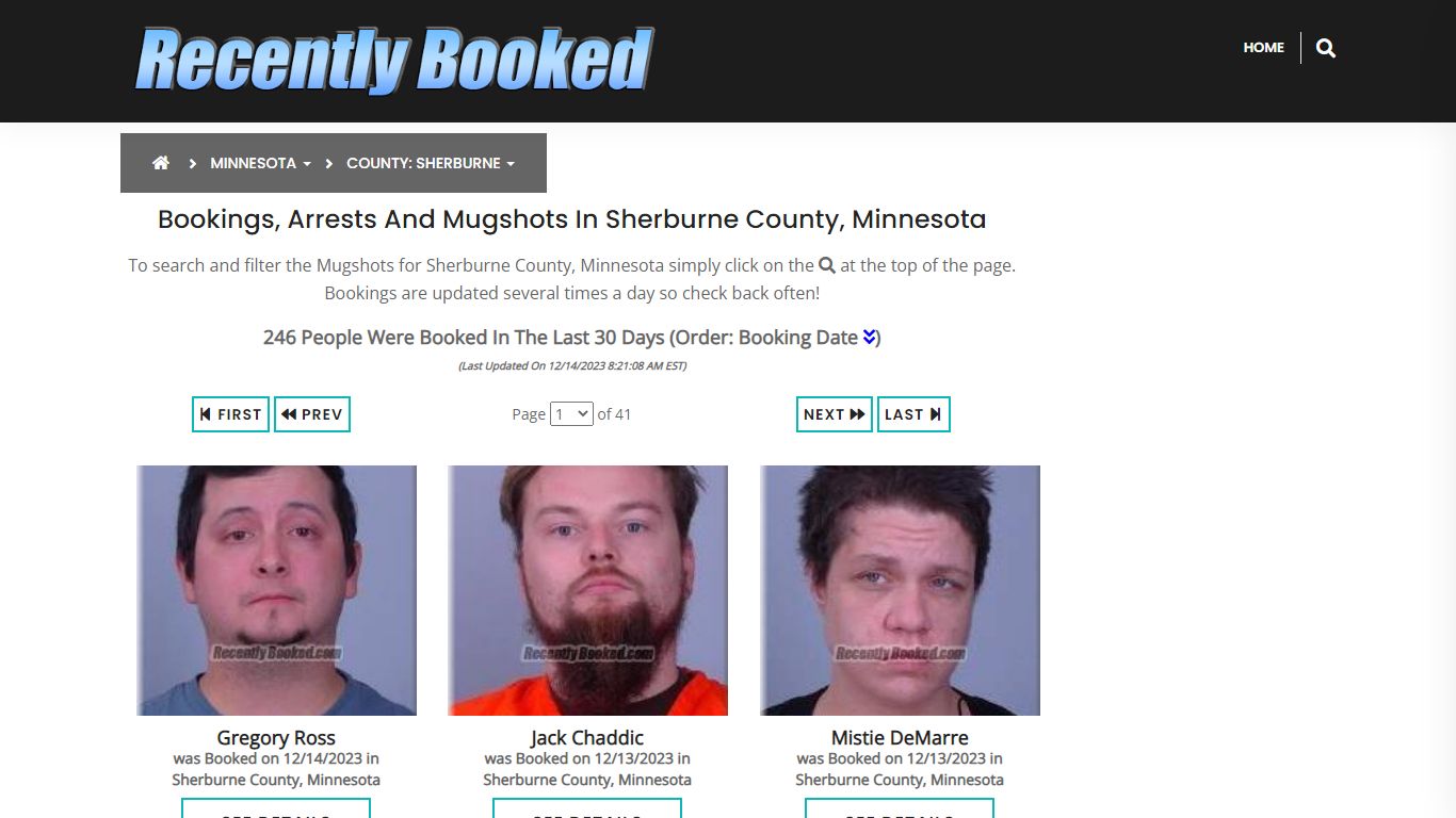 Bookings, Arrests and Mugshots in Sherburne County, Minnesota
